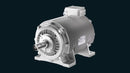 Innomotics Definite Purpose Motors
