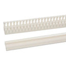 Schneider Electric LVS04233 TRUNKING DOOR L2000
