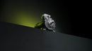 Innomotics Explosion Proof Motors