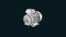 Innomotics Severe Duty Motors