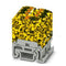 Phoenix Contact 1047501 black/yellow Distributor Terminal Block