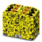 Phoenix Contact 3273414 black/yellow Distributor Terminal Block