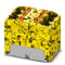 Phoenix Contact 3273810 Distribution Block - PTFIX 6X4-FE