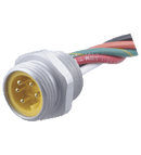 Pepperl & Fuchs 1/2" NPT-V95-G-S-.3M Male receptacle, 7/8" UN / 1/2" NPT, 5-pin