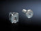 RITTAL DK 7000.990 DK Spring Nuts With Screws