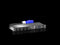 RITTAL DK 7979.403 PDU managed 16A/1P