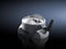 RITTAL CP 6206.340 CP Coupling